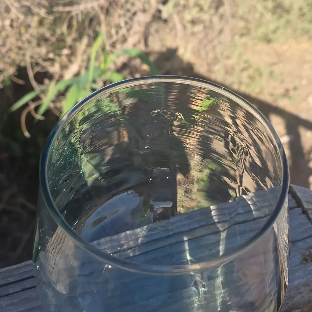 BLOWN GLASS  TERRARIUM - or VASE -  approx 6 inches tall